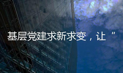 基层党建创新的两制星火