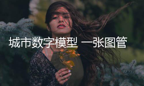 模型该负责人表示