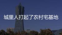 城里人打起了农村宅基地的“歪主意”
，根源何在
？