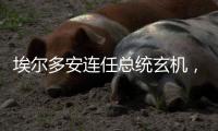 埃尔多安连任总统玄机

，建国百年的“土耳其三变”丨智库视点
