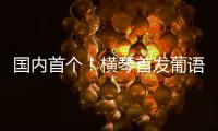 国内首个！横琴首发葡语大模型