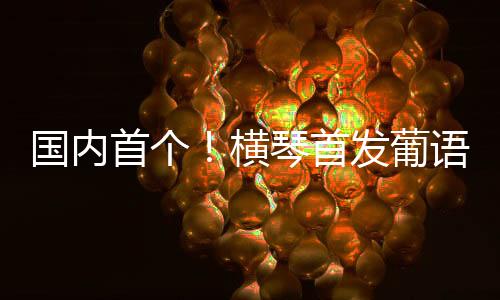 英葡平行语料对齐技术