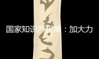 国家知识产权局：加大力度破解知识产权转移转化难题
