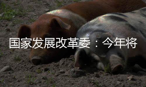 发展回收循环利用领域