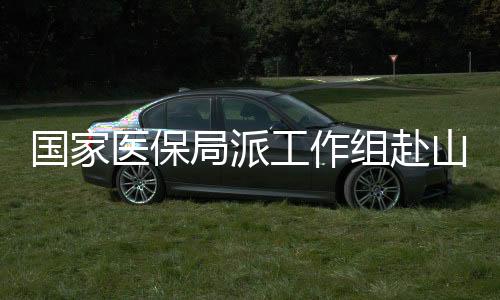 假票据”等欺诈骗保行为