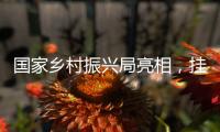 国家乡村振兴局亮相，挂上这块牌子意味着什么？
