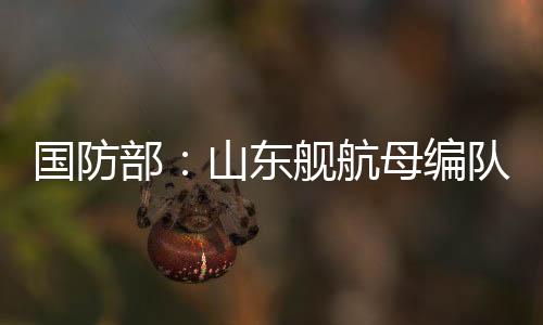 此次山东舰航母编队访港