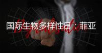 国际生物多样性日：菲亚特动力科技助力特提斯研究所地中海鲸目动物和海洋环境