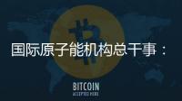 国际原子能机构总干事：支持伊美就核问题举行谈判