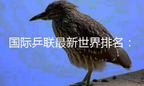 孙颖莎、国际王楚钦位列前二