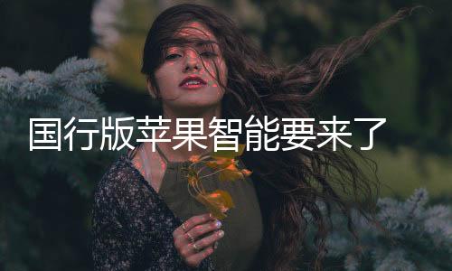 不过倒是出内符合国内法规