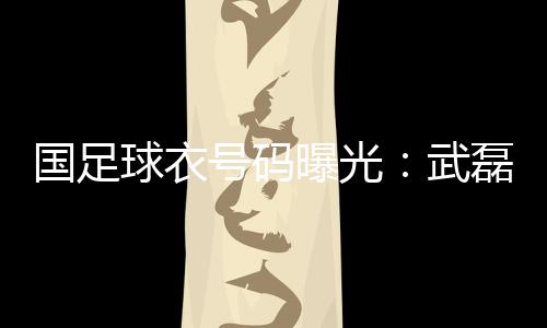 世豪德国转会市场网站页面上