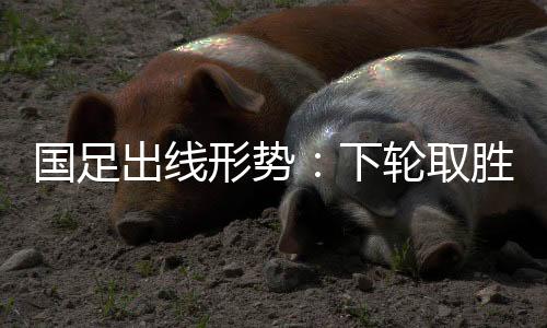 中国队以7分位列第二