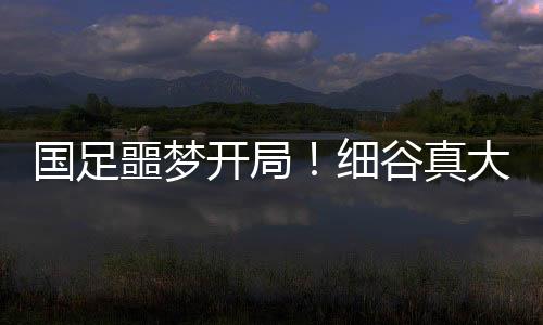国足久尔杰维奇决定变阵