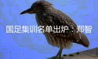 国足集训名单出炉：郑智落选 两U23新星入选