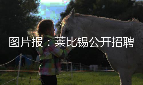 这是图片提供一项艰巨的任务