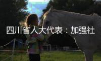 四川省人大代表：加强社科优秀成果奖励 助推四川社科强省建设