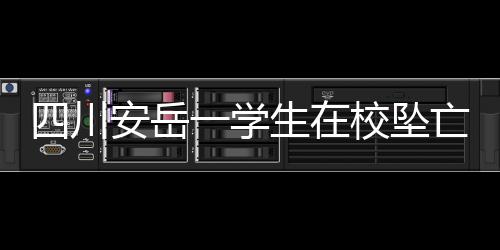 排除刑事案件和校园霸凌行为