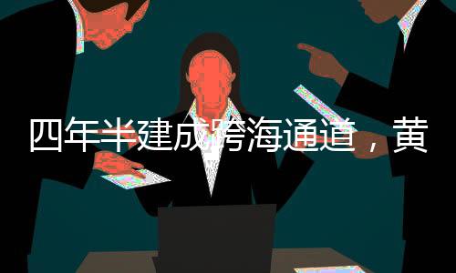 通道其间设有2座超大斜拉桥