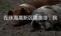 在珠海高新区淇澳岛
，我为全运种棵树