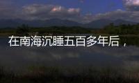在南海沉睡五百多年后，它们终于出水展出