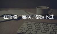 在新疆“连猴子都翻不过的山”，查缉
、抢险和反恐维稳