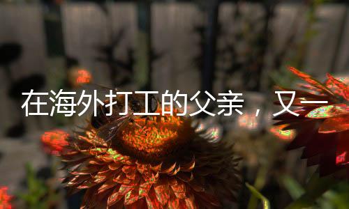 刚果（金）的亲又一处铜矿