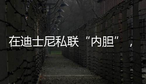 尼私迪士尼的内胆本质是造梦