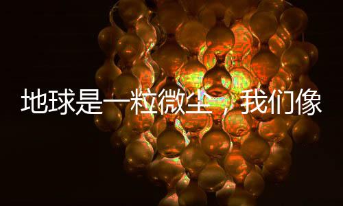 我在小区喂几只流浪猫