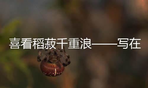 浪写各部门各地落实有力有效