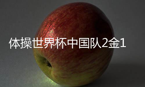 世界女子高低杠勇夺金牌
