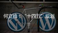 何立峰：“十四五”规划纲要草案指标就像“奋力一跳可以摘到的树上的桃子”