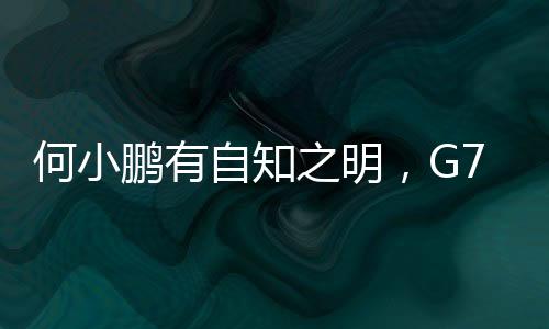 搭载小鹏辅助驾驶这些