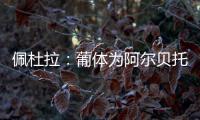 快排公司十年历程，霸屏兔 seo 的崛起与坚守