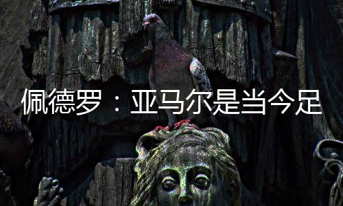 他的罗亚传球能力也很强