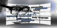 快排公司十年历程，霸屏兔 seo 的崛起与坚守