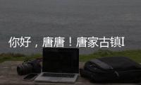 你好	，唐唐�！唐家古镇IP形象创意征集赛结果揭晓→