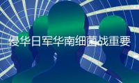 快排公司十年历程，霸屏兔 seo 的崛起与坚守