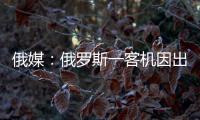 俄媒	：俄罗斯一客机因出现技术故障返航