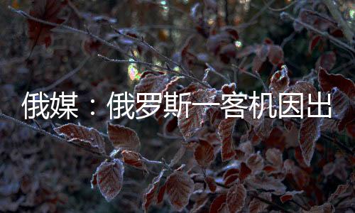 俄媒俄罗目前飞机已平安着陆