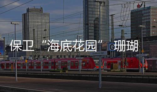海底花园这件事
