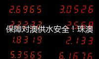 快排公司十年历程，霸屏兔 seo 的崛起与坚守