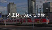 人工林
，为大地添绿