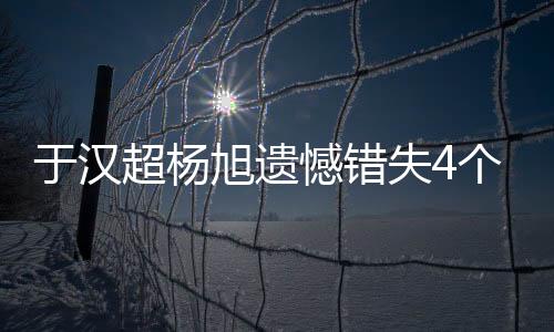 要用进球把球队带进决赛