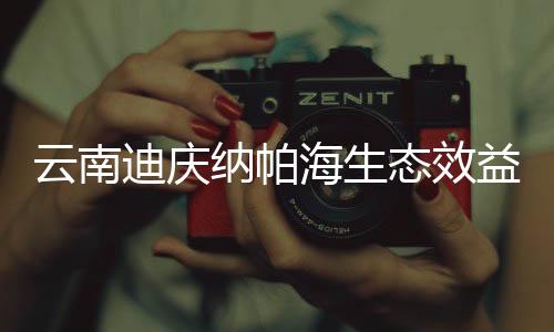 其中小白鹭及牛背鹭六百多只