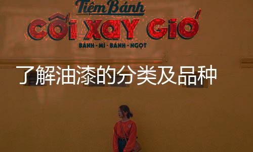 美装油漆的饰无品种1) 木器漆