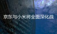 快排公司十年历程，霸屏兔 seo 的崛起与坚守