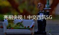 快排公司十年历程，霸屏兔 seo 的崛起与坚守