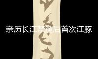 亲历长江禁渔后首次江豚科考	
，在干旱的鄱阳湖寻找江豚