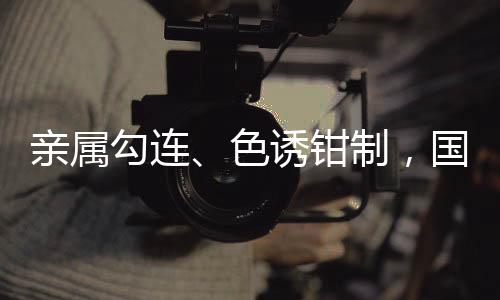 勾连国安既折损个人前程